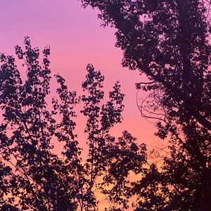 Meet your Posher, Breanna